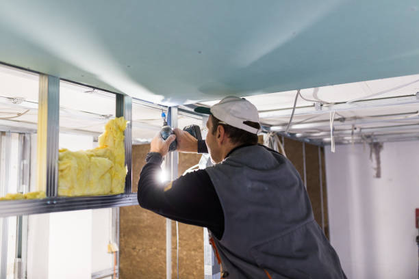 Best Attic Insulation Installation  in Elm Grove, WI