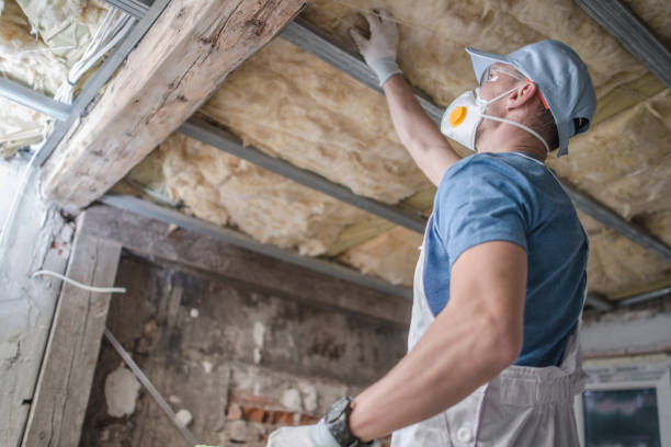 Best Commercial Insulation Contractor  in Elm Grove, WI