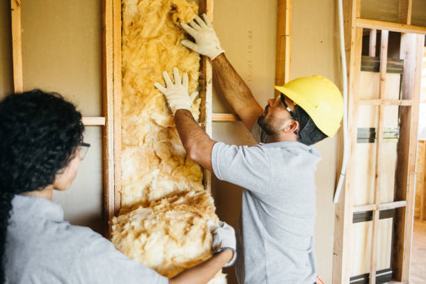Best Wall Insulation Contractor  in Elm Grove, WI