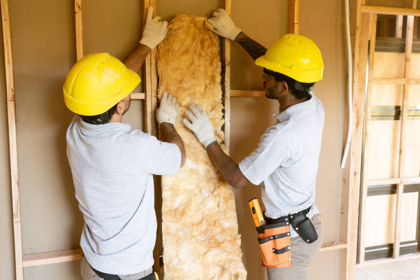 Insulation Replacement Services in Elm Grove, WI