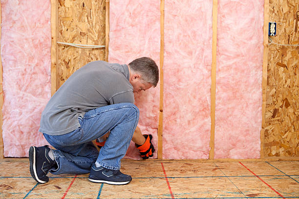Best Crawl Space Insulation  in Elm Grove, WI
