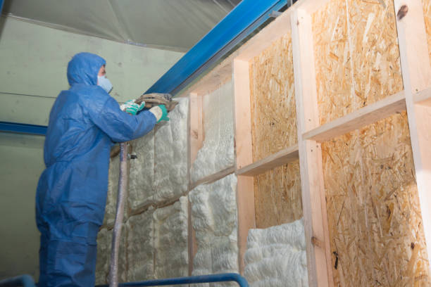 Best Affordable Insulation Services  in Elm Grove, WI